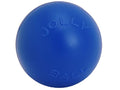 Blue 10 inch Hard Plastic Dog Toy F2158