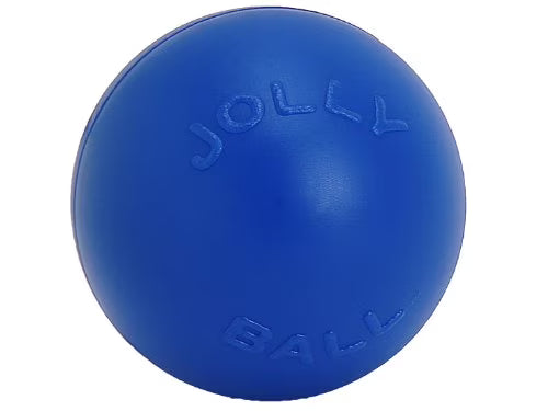 Blue 10 inch Hard Plastic Dog Toy F2158