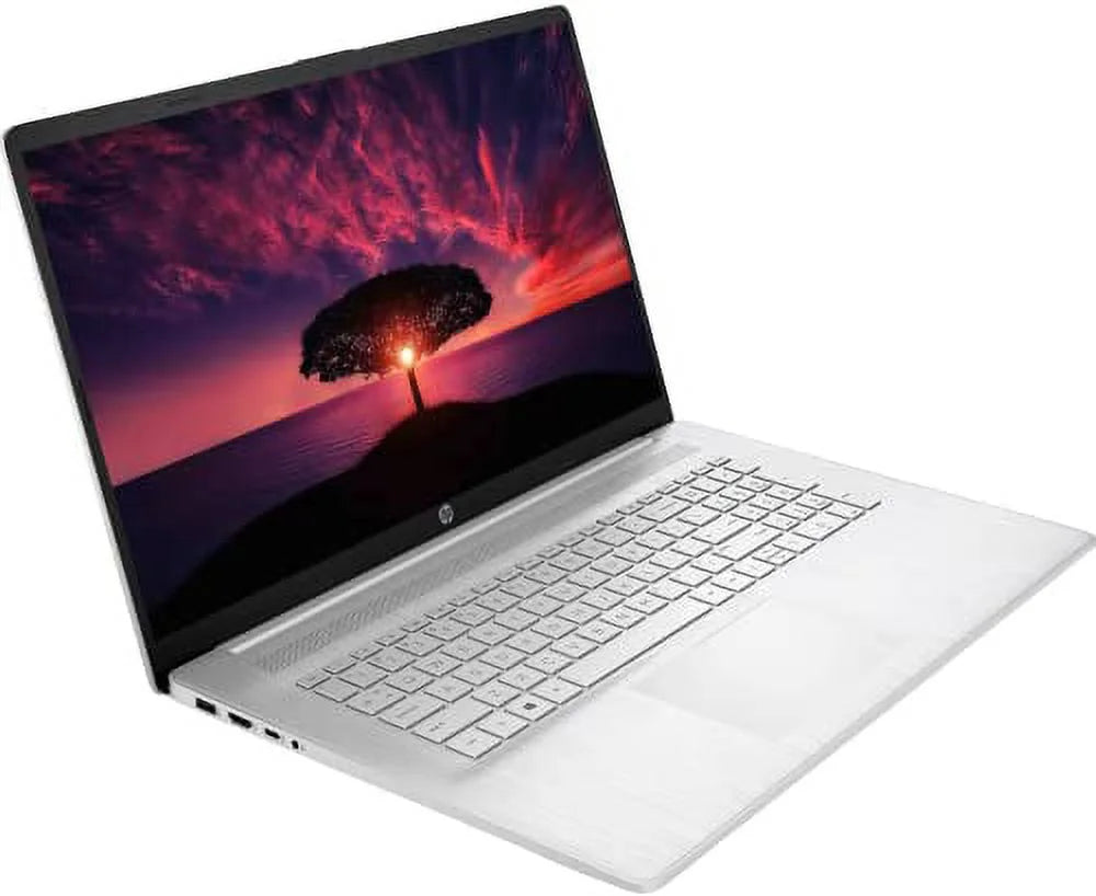 17.3" HD Touchscreen Laptop, AMD Ryzen 5-5500U, Windows 11 Pro, 16GB RAM, 512GB SSD+1TB HDD D732506