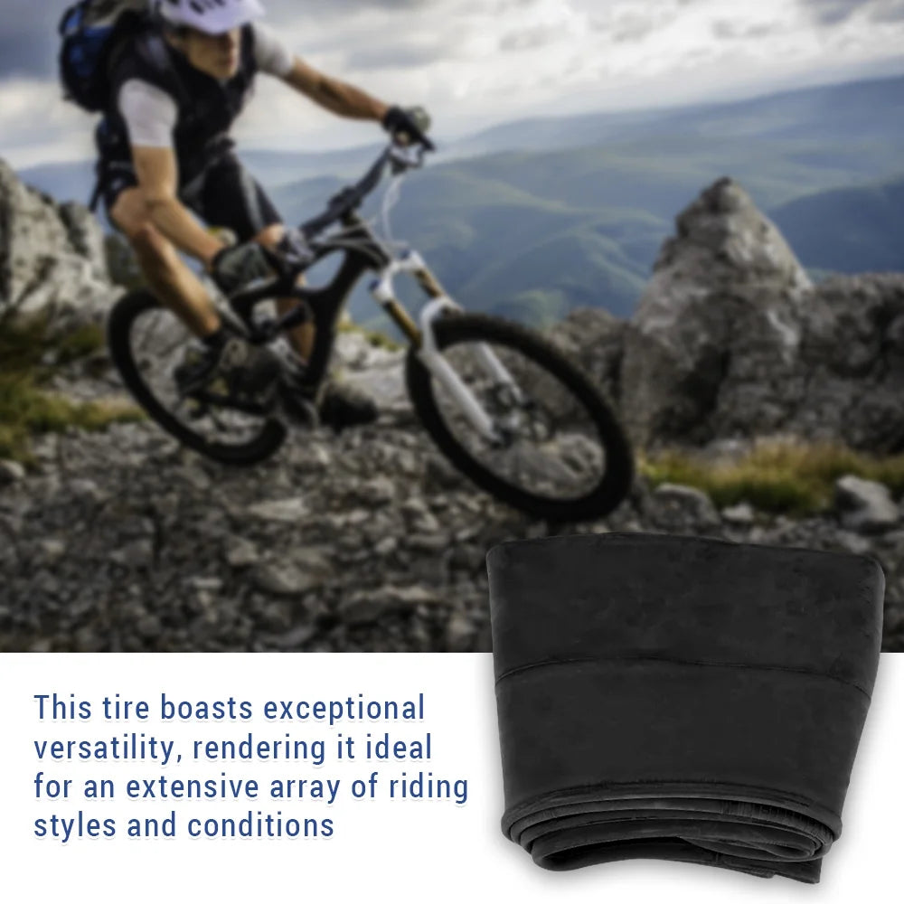 Fat Bike Inner Tube 20 x 4.0 Inch W68479