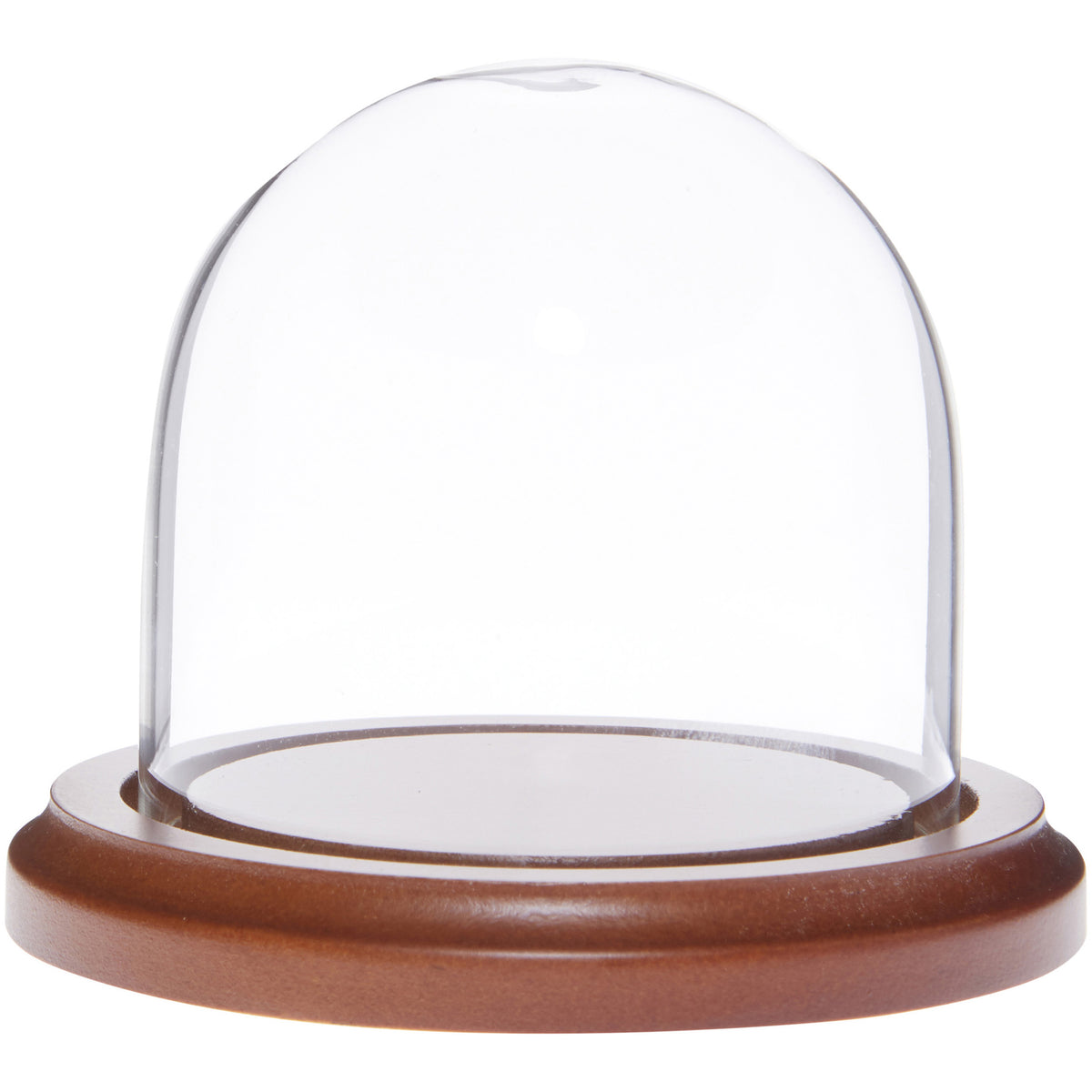 3" x 3" Glass Display Dome Cloche with Walnut Base H796277