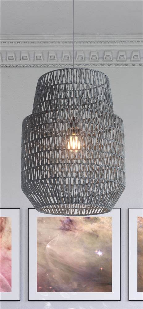 Gray Ceiling Lamp F36080