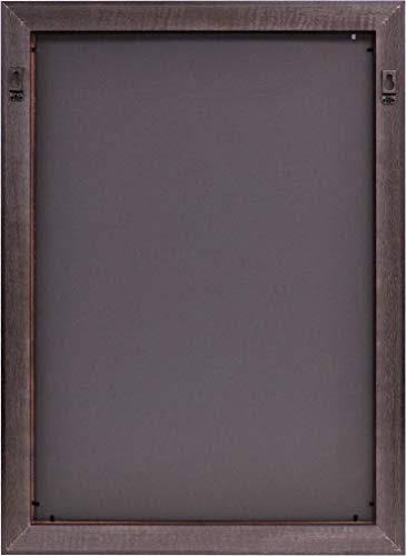 Gold Embossed Diploma Frame with Campus Images Lithograph H166