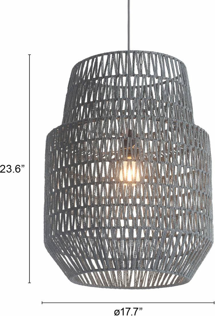 Gray Ceiling Lamp F36080
