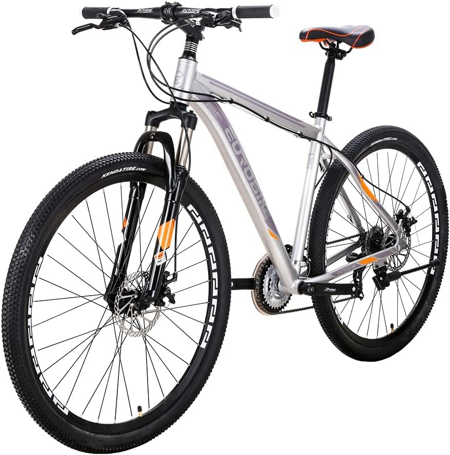 29 in Mountain Bike 21 Speed Z9961