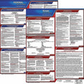 Fed/STA TX Labor Law Poster 20inH 1yr F5606