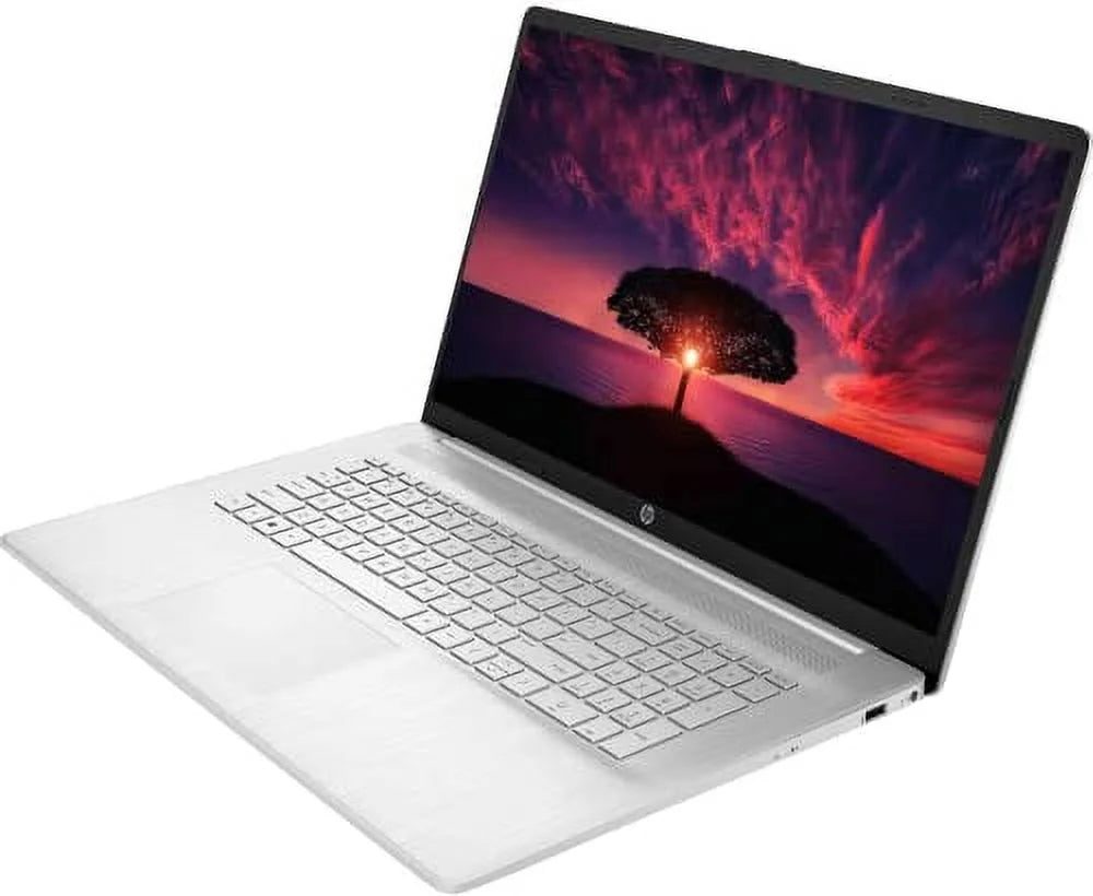 17.3" HD Touchscreen Laptop, AMD Ryzen 5-5500U, Windows 11 Pro, 16GB RAM, 512GB SSD+1TB HDD D732506