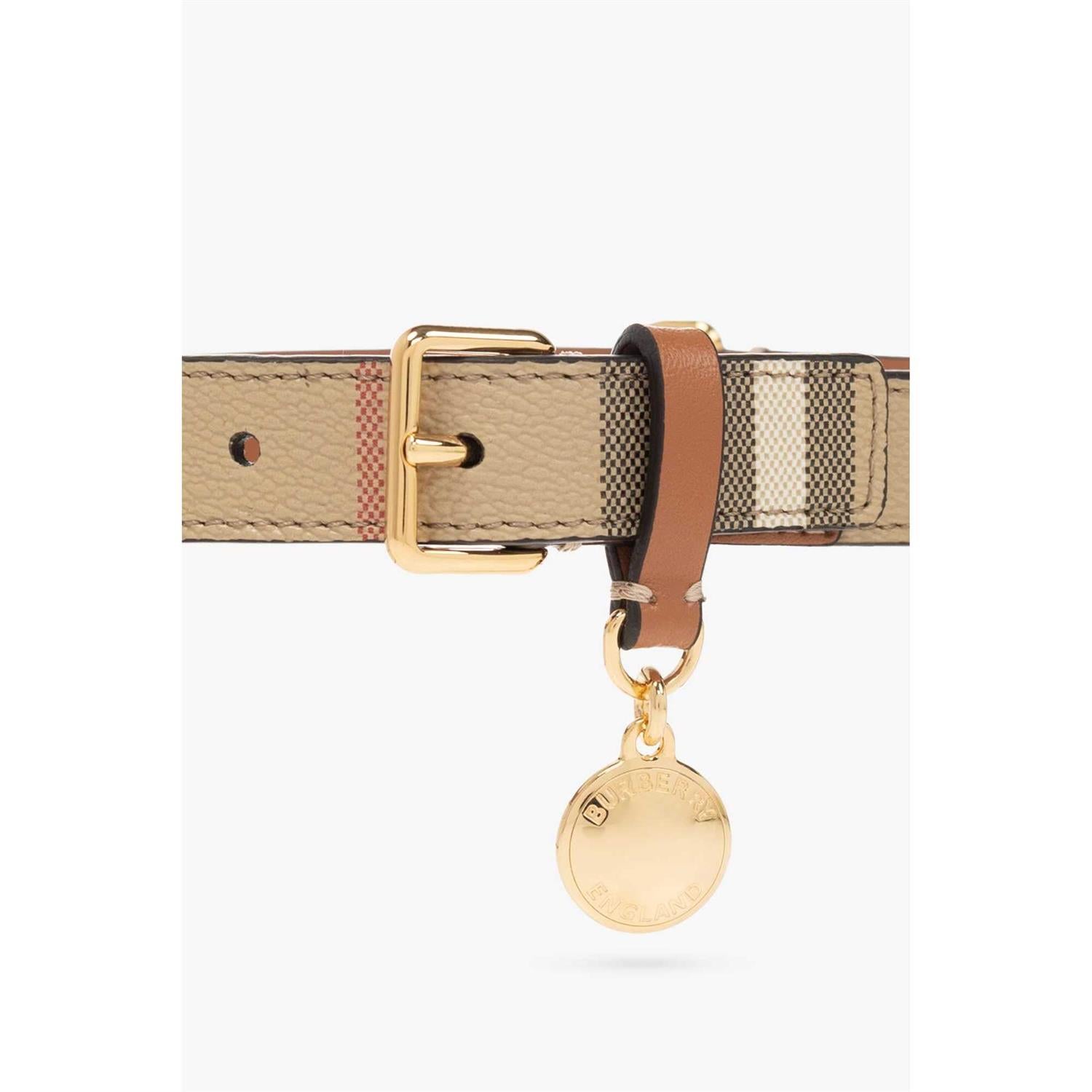 Check Dog Collar P305