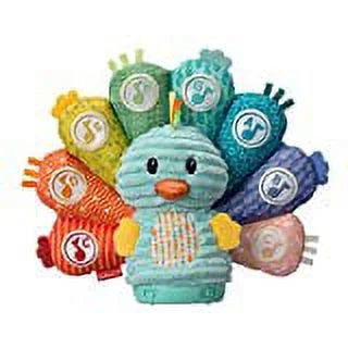 Sensory Development Toy B978040