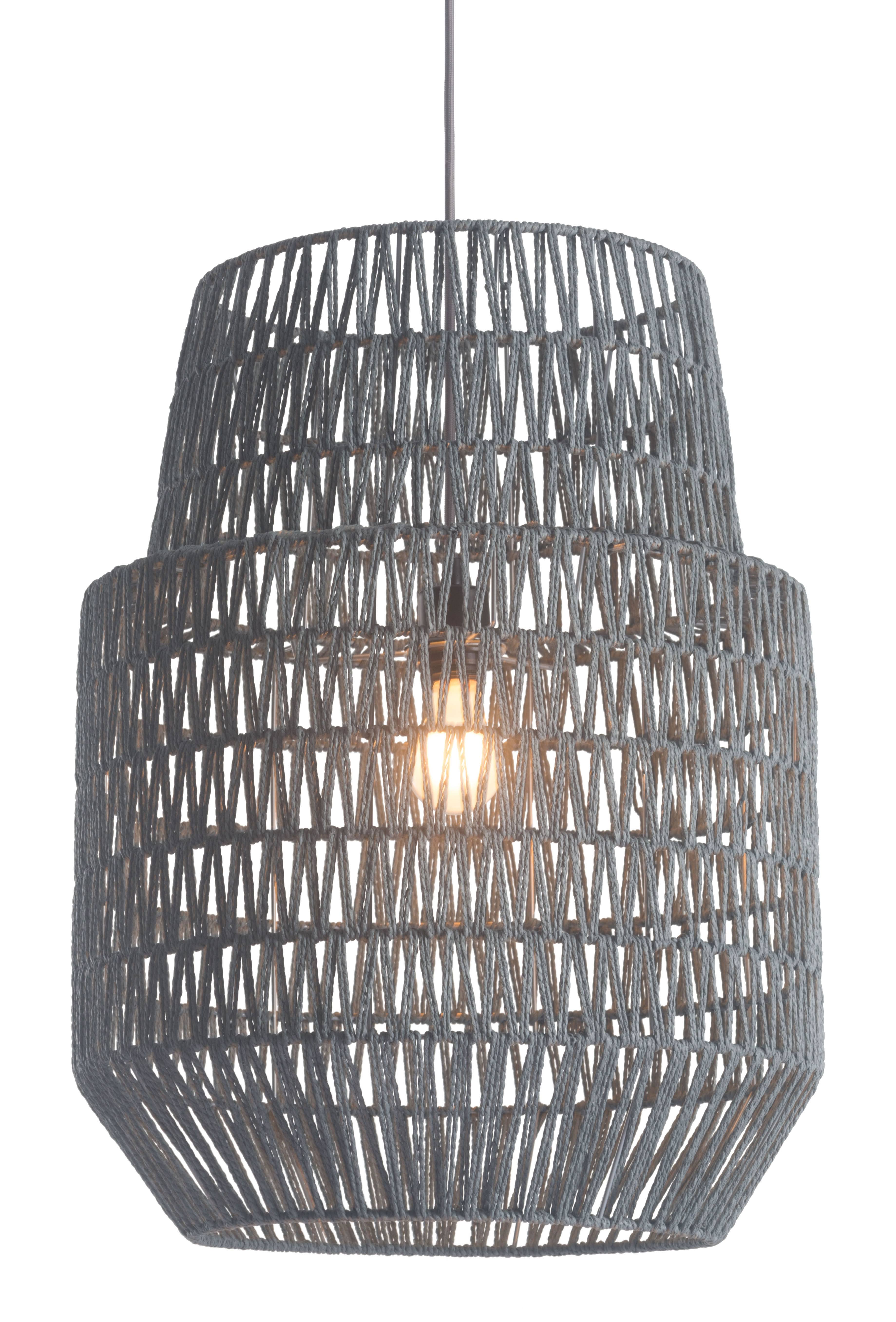 Gray Ceiling Lamp F36080
