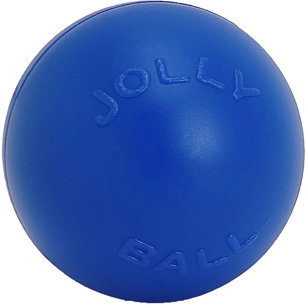 Blue 10 inch Hard Plastic Dog Toy F2158