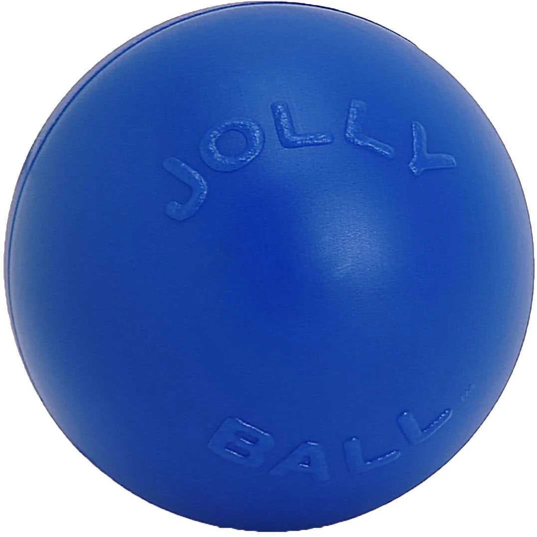 Blue 10 inch Hard Plastic Dog Toy F2158