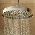 Brushed Nickel Single Function Rain Shower Head G55621