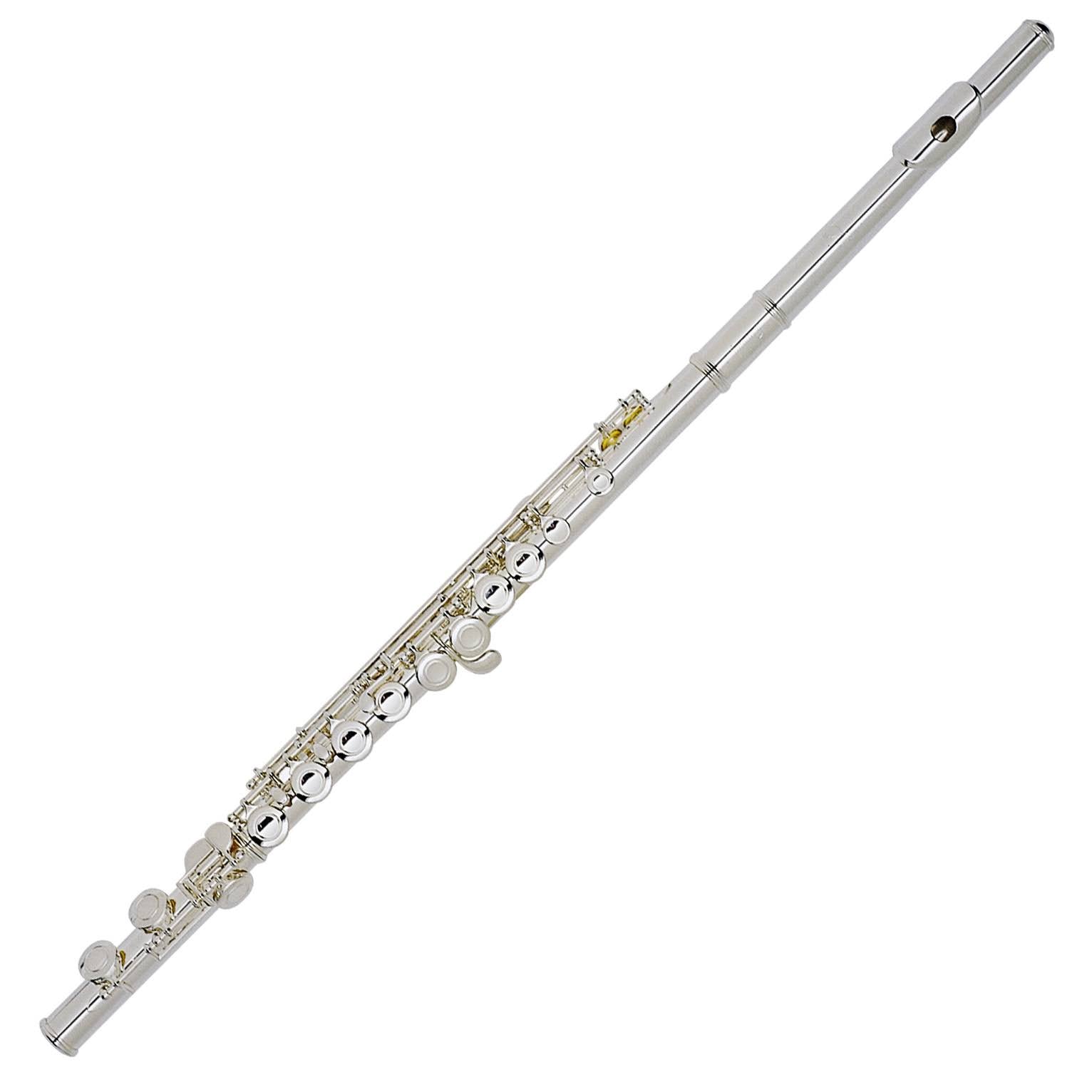 Student Flute E63230