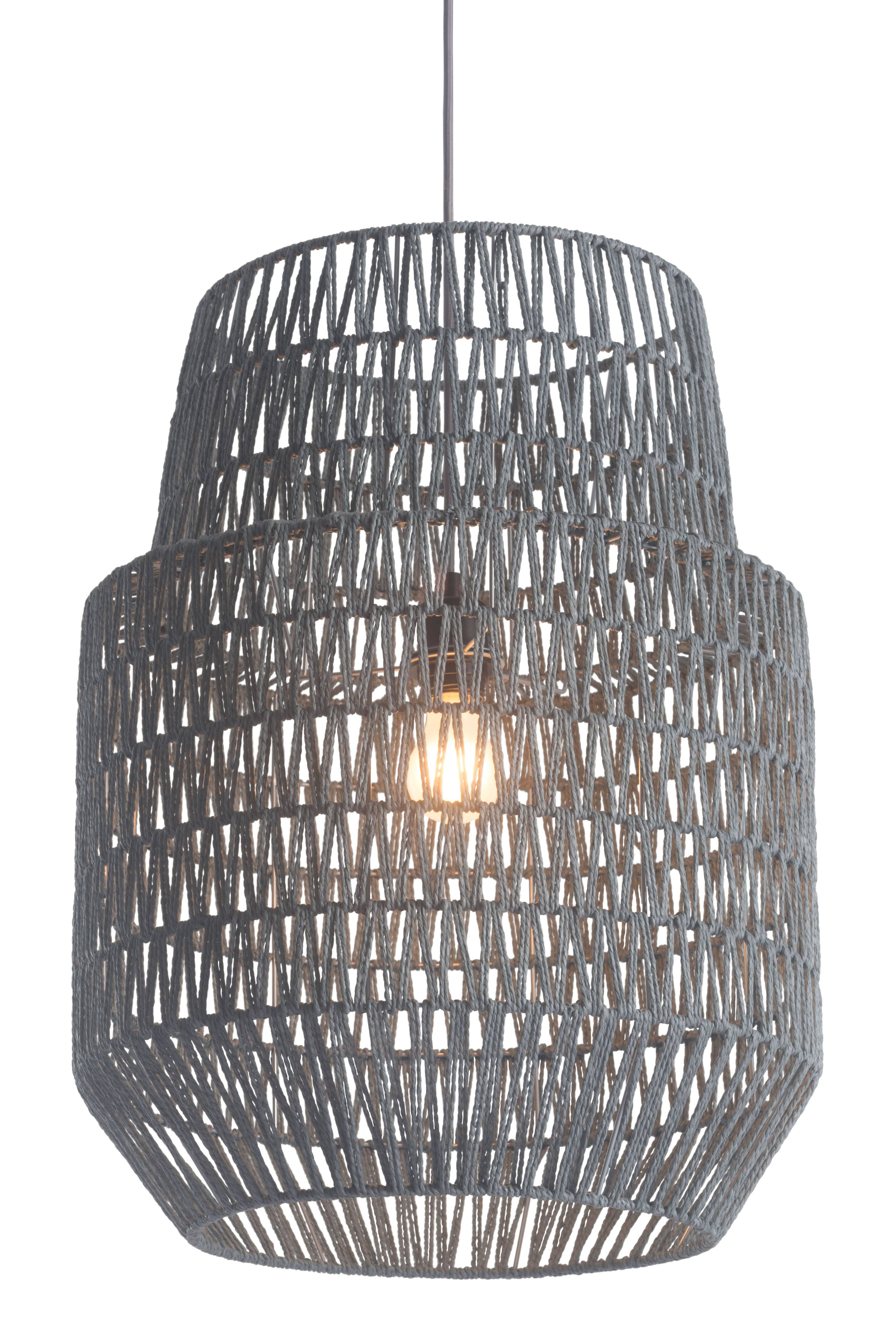 Gray Ceiling Lamp F36080