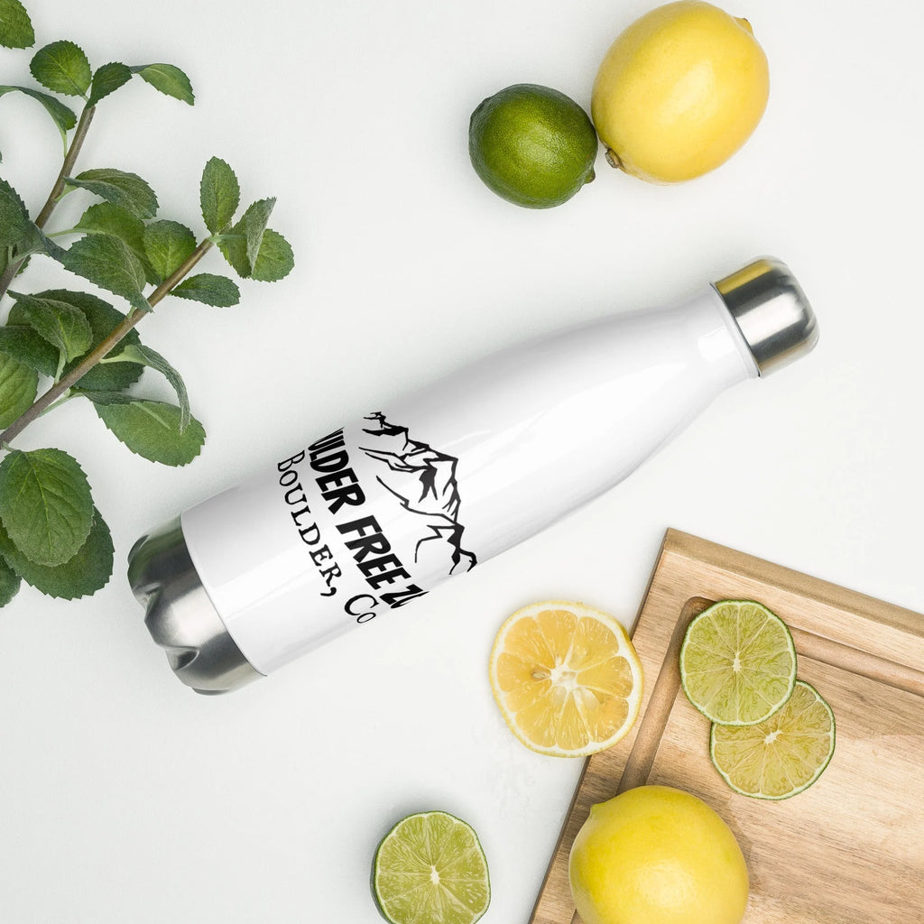 Stainless Steel Water Bottle O431138