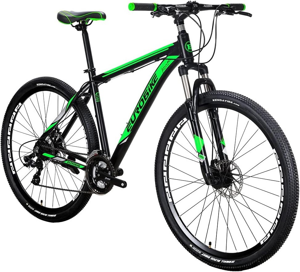 29 in Mountain Bike 21 Speed Z9961