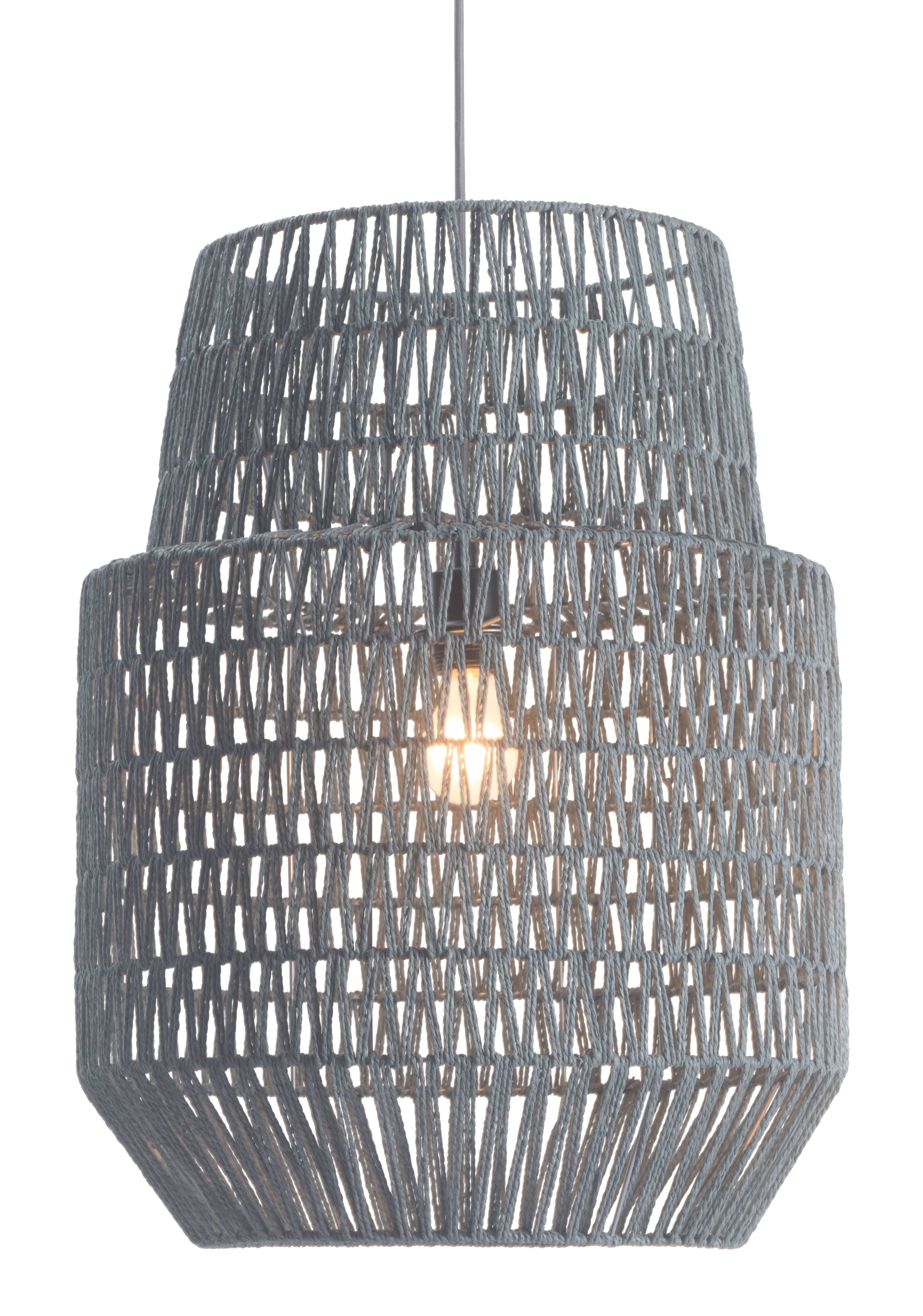 Gray Ceiling Lamp F36080