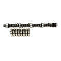 Cam & Lifter Kit B383018