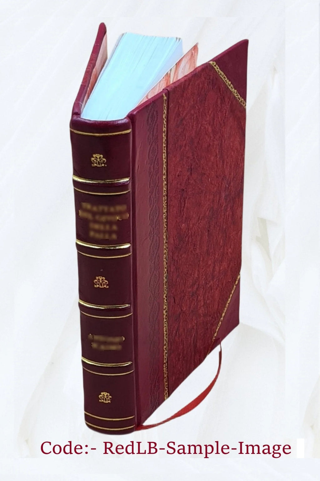 Thomas Morus et son époque K800